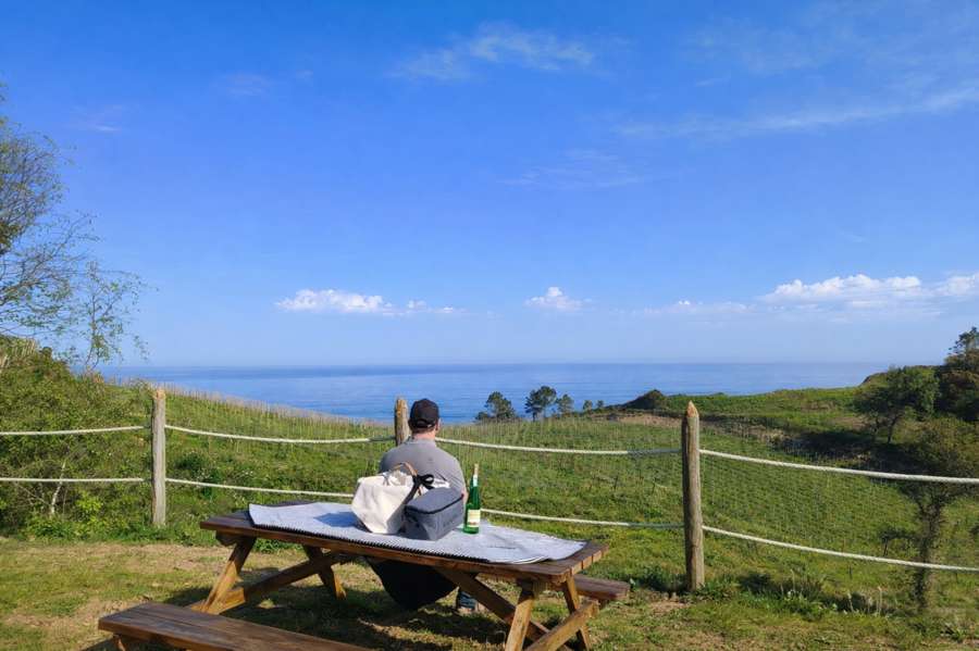 Picnic - Imagen 2