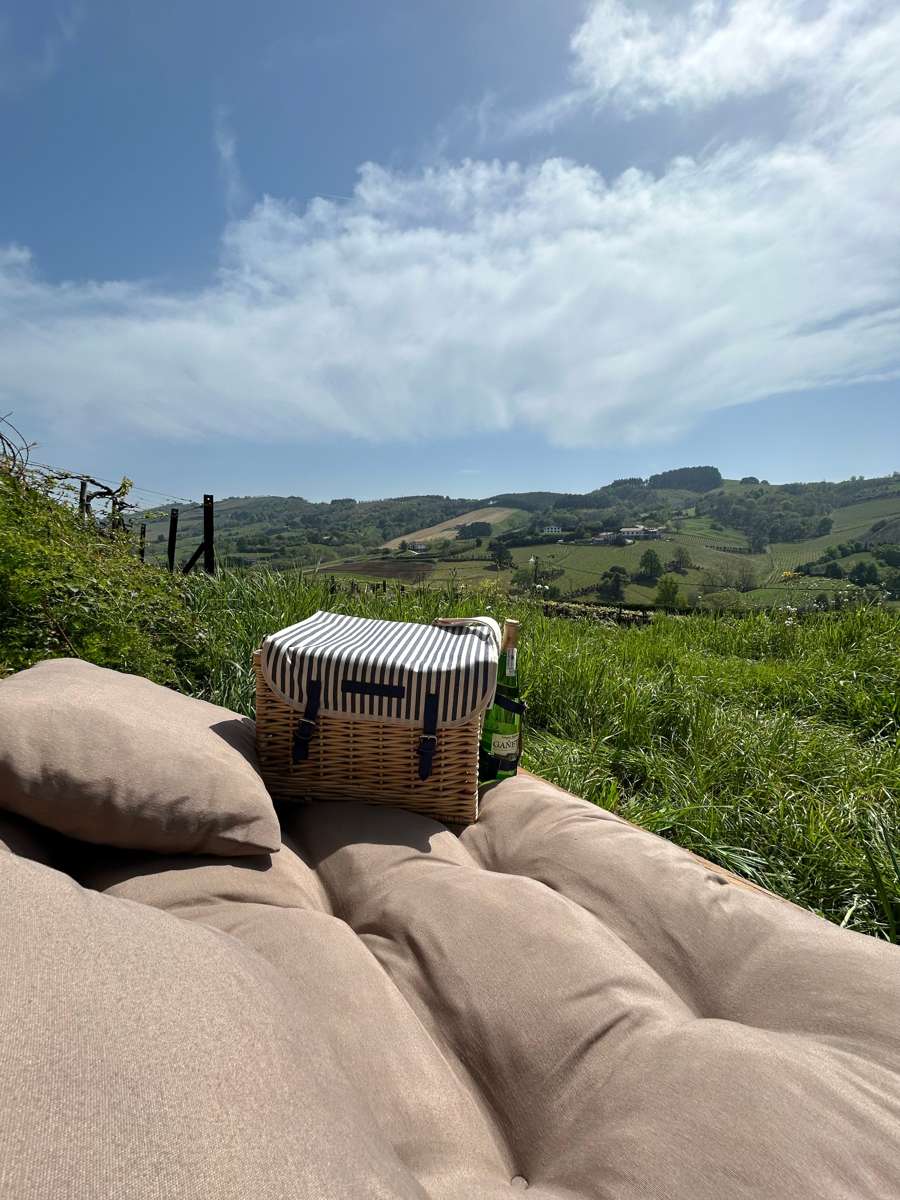 Picnic - Imagen 5