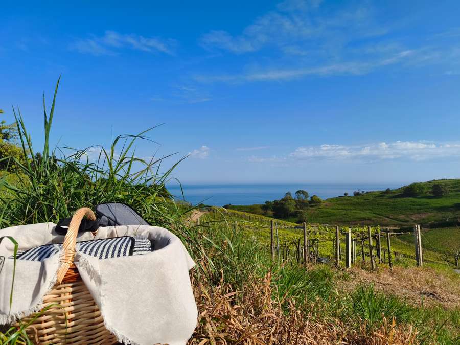 Picnic - Imagen 3