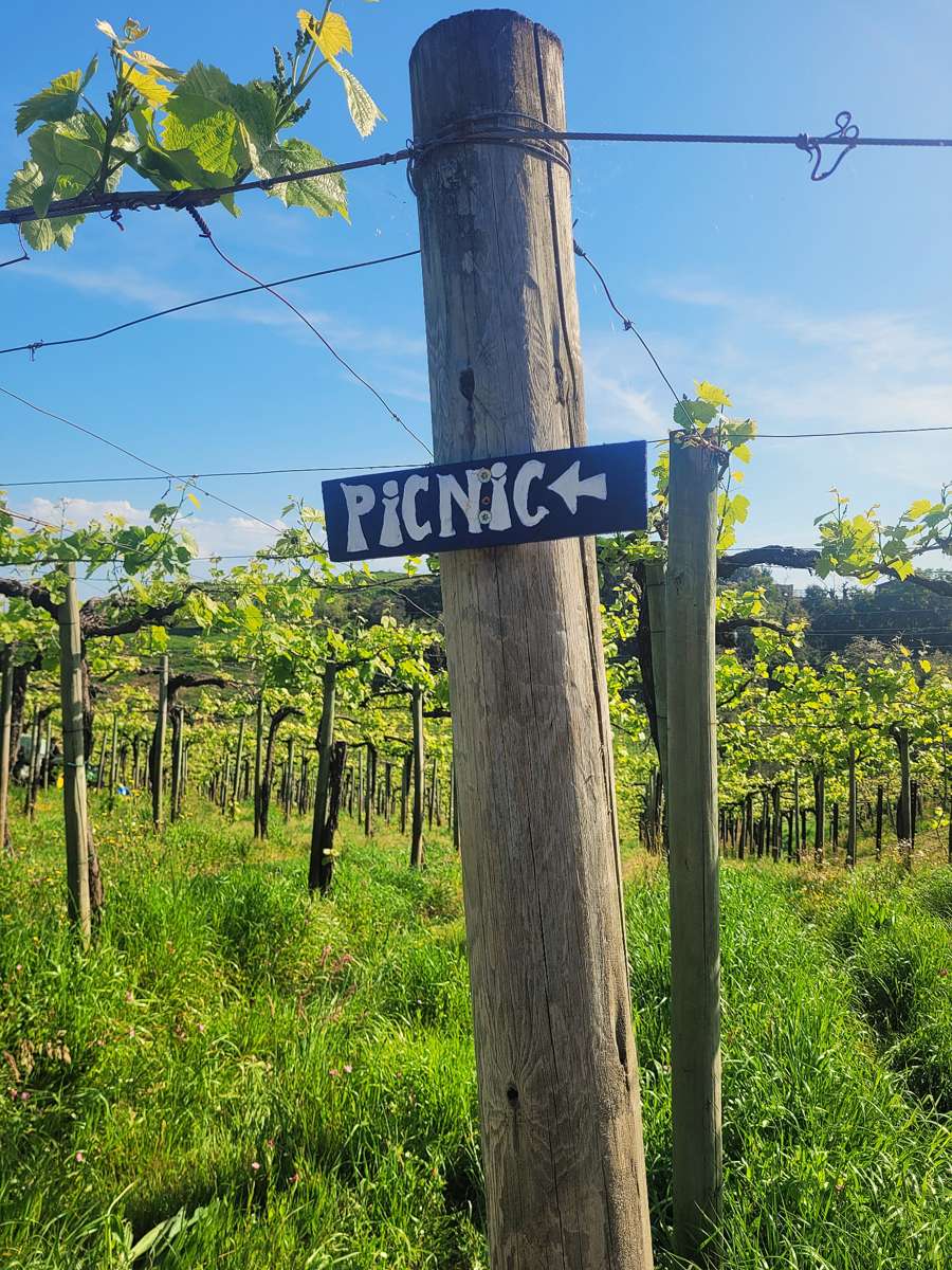 Picnic - Imagen 4